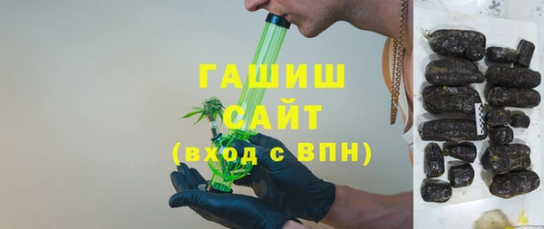 индика Богданович